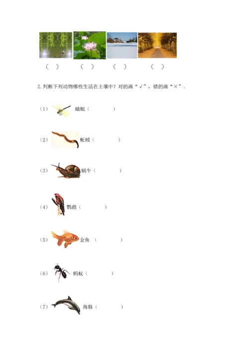 教科版二年级上册科学期末测试卷【名校卷】.docx