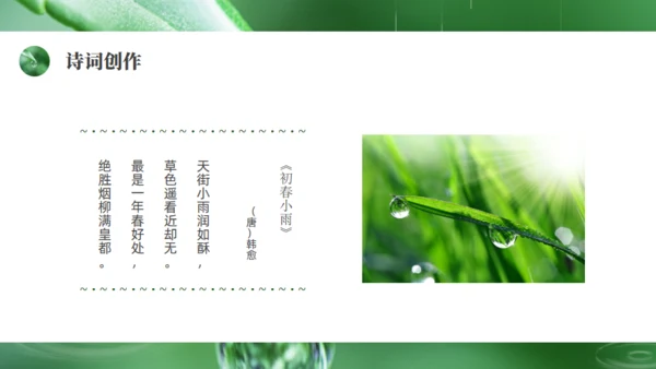 雨水绿色露水背景通用PPT模板