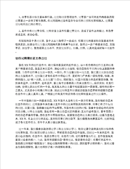 试用期转正个人工作总结范文