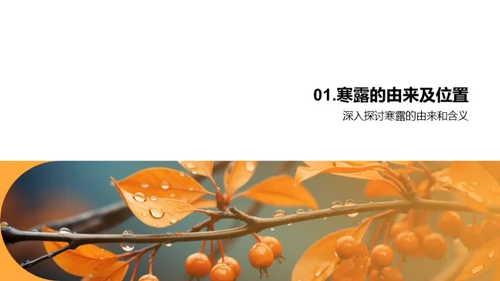 探索寒露节气
