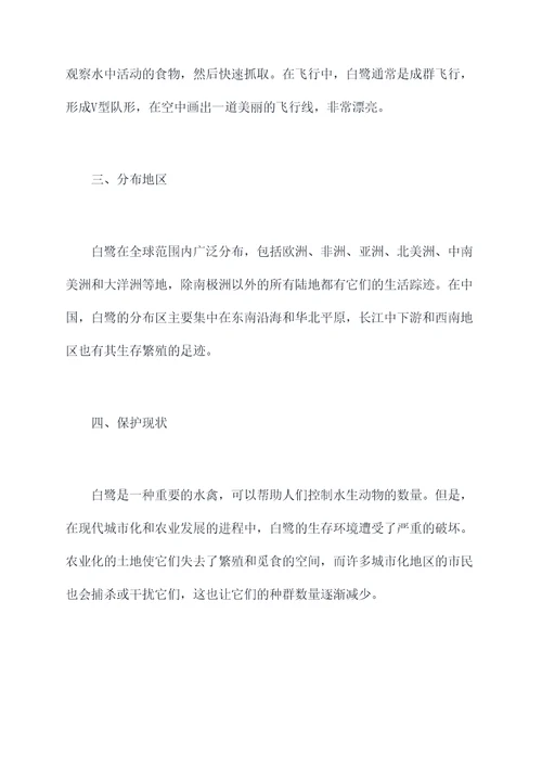 整理白鹭知识点