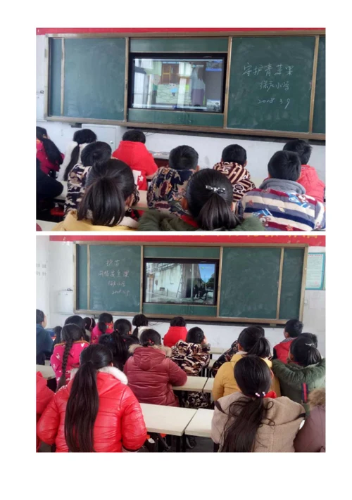 徐庄小学《守护青苹果》《护苗网络安全课》活动总结
