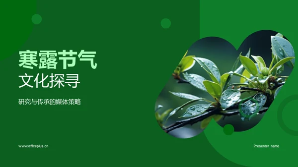 寒露节气文化探寻
