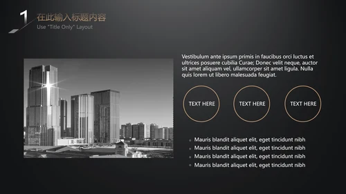 极简黑金商务工作汇报通用PPT模板