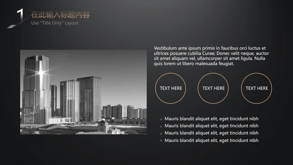 极简黑金商务工作汇报通用PPT模板