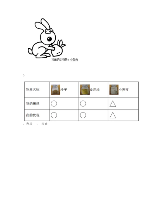 教科版小学科学一年级下册期末测试卷附参考答案（研优卷）.docx