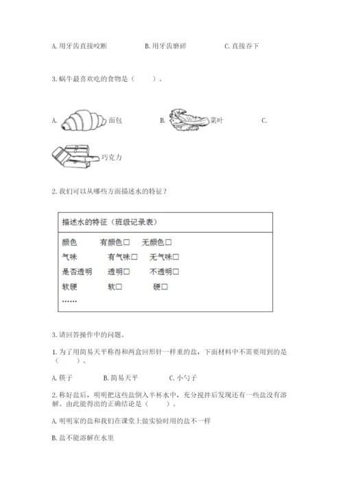 教科版一年级下册科学期末测试卷附答案【考试直接用】.docx