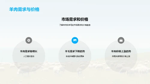 全面探秘羊业投资