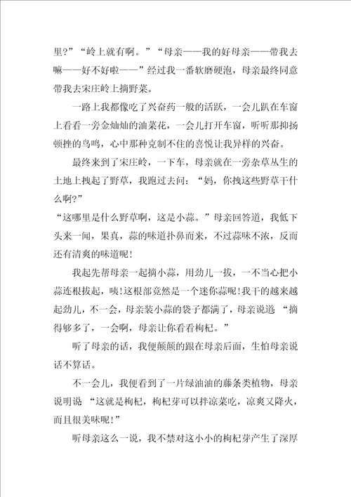 清明思念故人作文3篇
