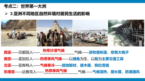 第六章 我们生活的大洲（课件38张）-2023-2024学年七年级地理下册期中复习（人教版）
