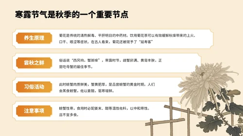 橙色中国风寒露节气PPT模板