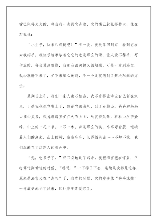 2022写物作文 220