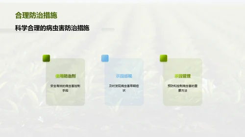 茶园病虫害科学防治