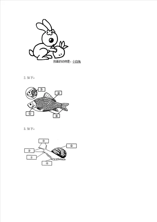 教科版科学一年级下册第二单元动物测试卷能力提升