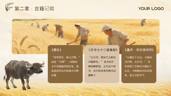 黄色古风中国传统文化二十四节气芒种课堂科普PPT模板