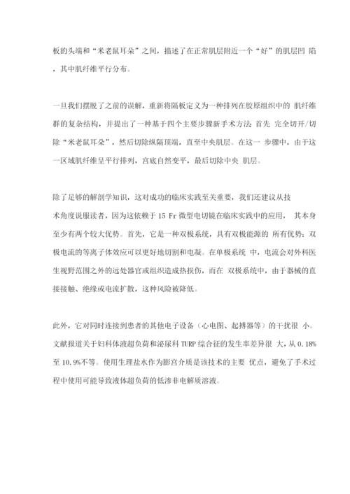 2022纵隔子宫治疗的理念.docx