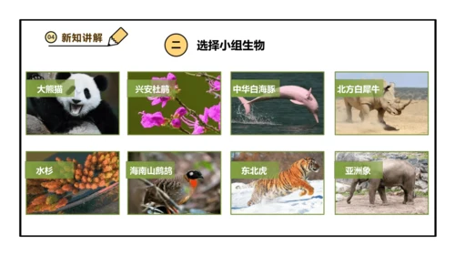 人教版生物八上 6.3 保护生物的多样性 课件(共26张PPT)