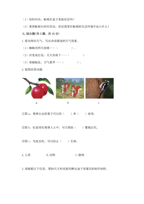 教科版二年级上册科学期末测试卷精品【b卷】.docx