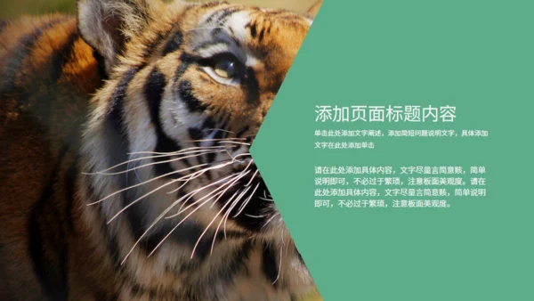 绿色自然生态动物保护宣传通用PPT模板