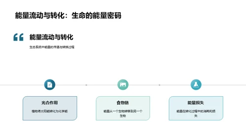 探秘生态系统