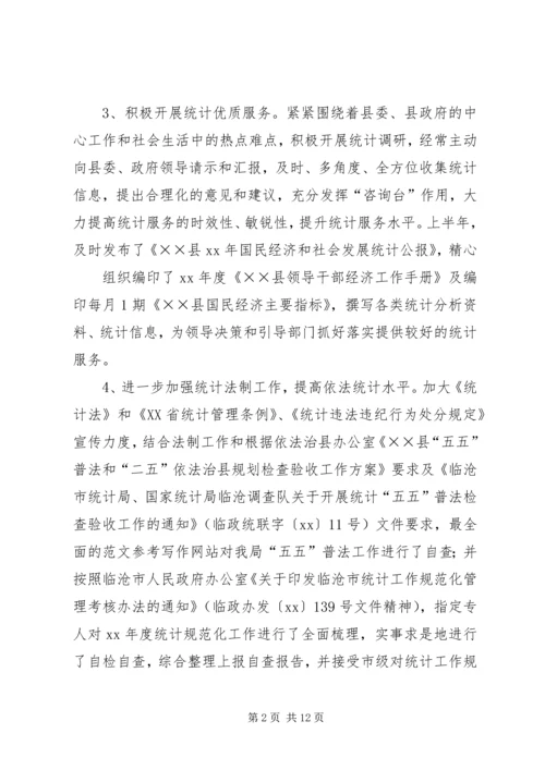 统计局上半年工作总结下半年工作安排.docx