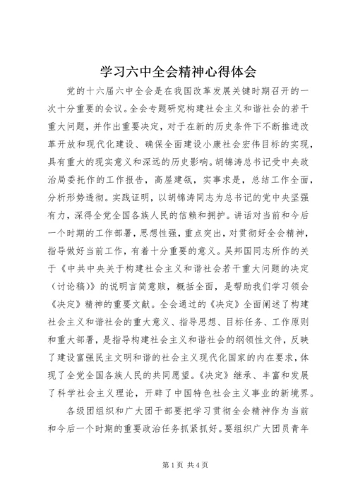 学习六中全会精神心得体会.docx