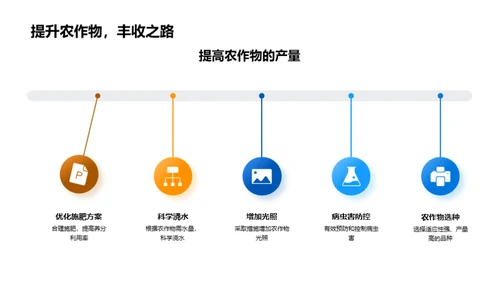 大暑农作物科学管理