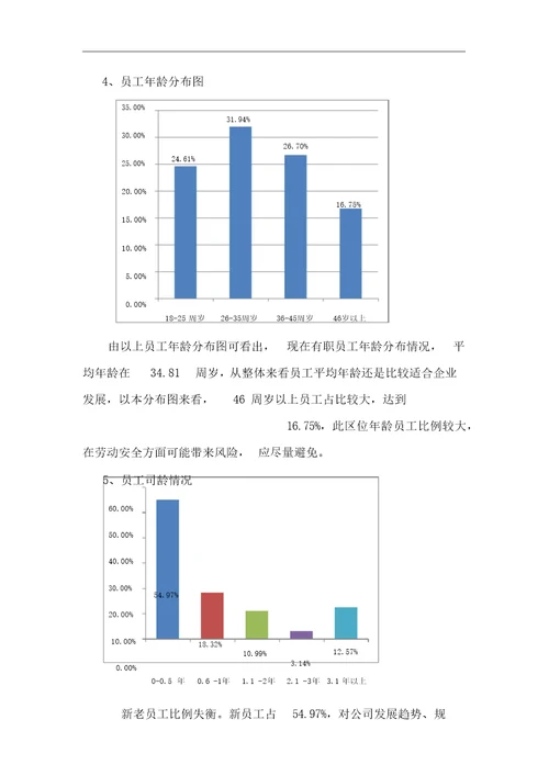 人力资源分析报告实用