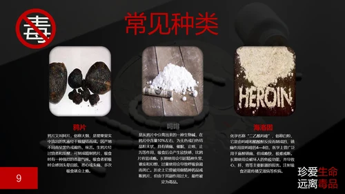 珍爱生命禁毒无毒PPT