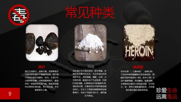 珍爱生命禁毒无毒PPT