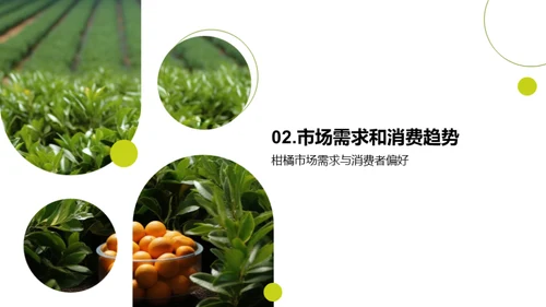 柑橘行业：挖掘投资新机遇
