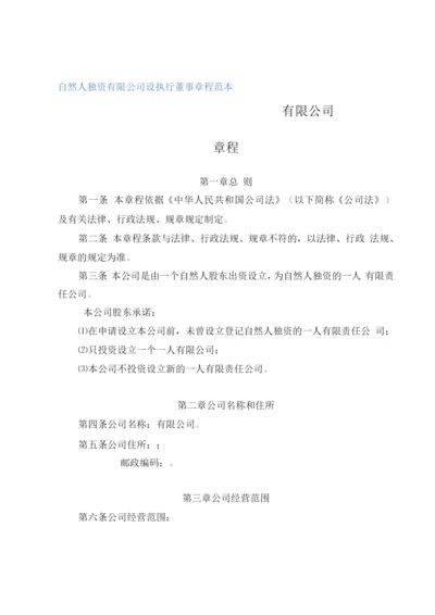 自然人独资有限公司设执行董事章程(2020修订).docx