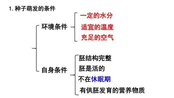 人教版七年级生物上册第三单元第一与二章复习课件(共21张PPT)