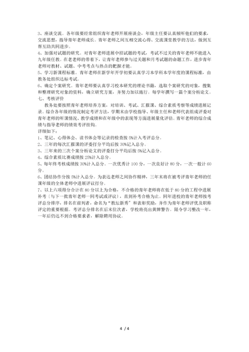 中青年骨干教师培养计划.docx