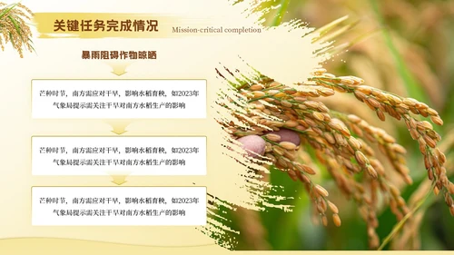 黄色芒种节气高级感PPT模板