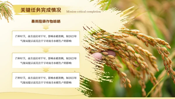 黄色芒种节气高级感PPT模板