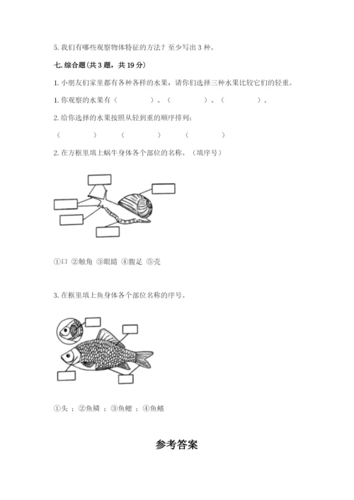 教科版一年级下册科学期末测试卷【精练】.docx