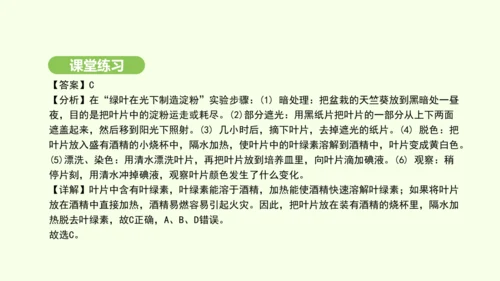 第三单元-第二章-第二节-光合作用-第1课时 绿叶在光下制造有机物课件-2024-2025学年七年级