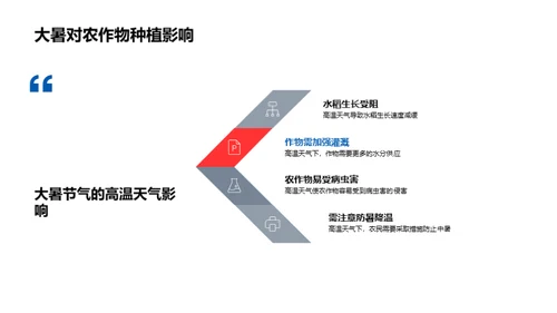 大暑节气农业解读