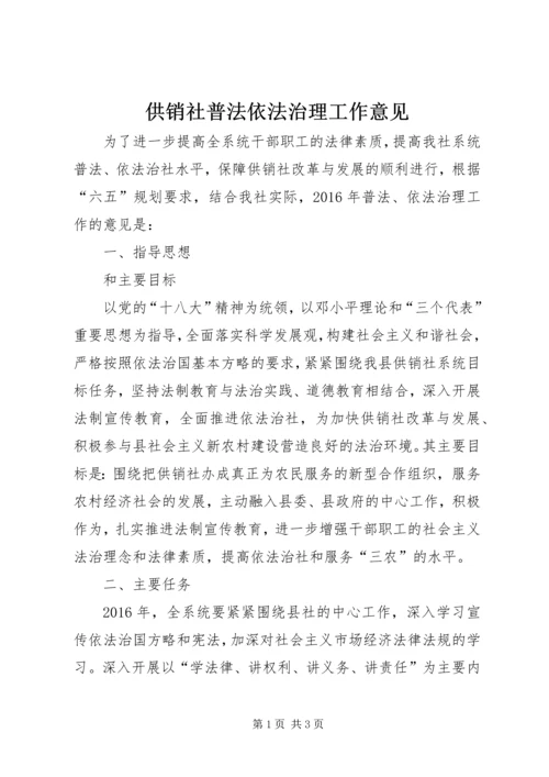 供销社普法依法治理工作意见.docx