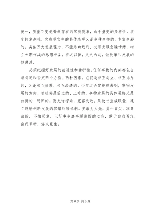 党的十八届五中全会心得体会：实施五大发展理念的指导.docx