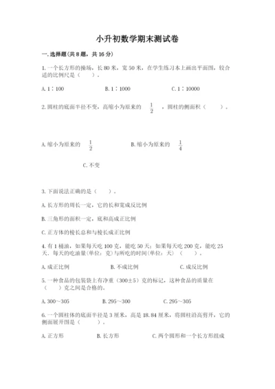 小升初数学期末测试卷学生专用.docx