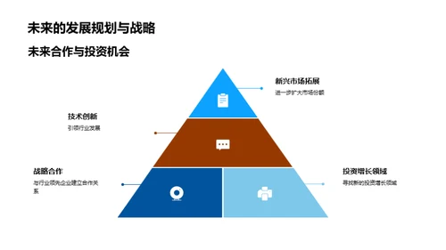 企业发展与投资策略