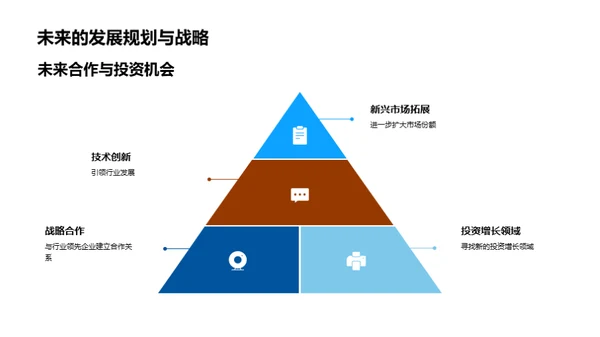 企业发展与投资策略