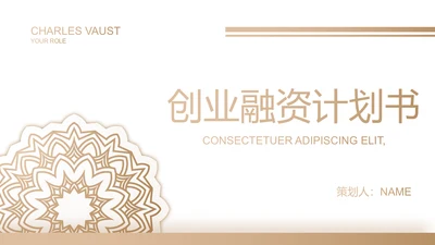 金色高端霸气创业融资计划书商业计划书PPT