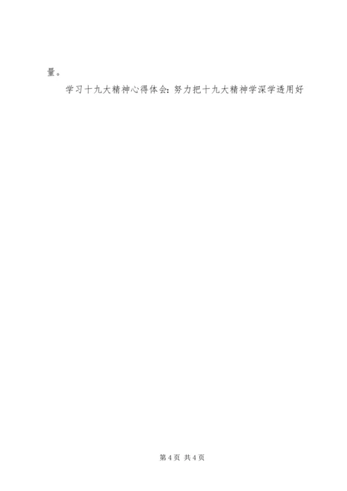 学习十九大精神心得体会：努力把十九大精神学深学透用好.docx