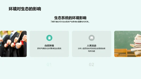 生态系统深度解析