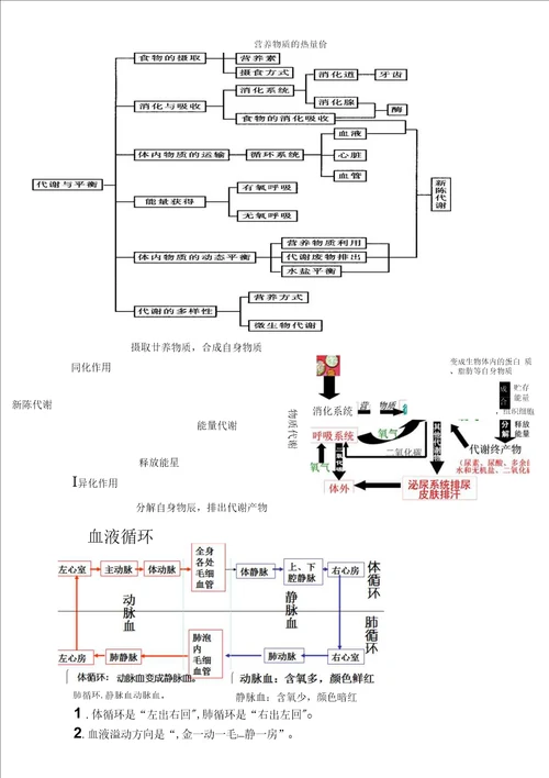 浙江省温州市平阳县鳌江镇第三中学九年级科学代谢与平衡教案