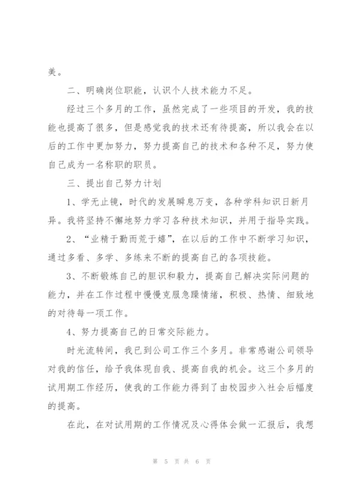 it员工试用期工作总结怎么写.docx