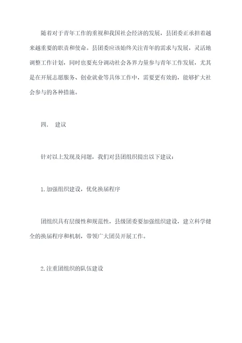 县团组织换届调研报告